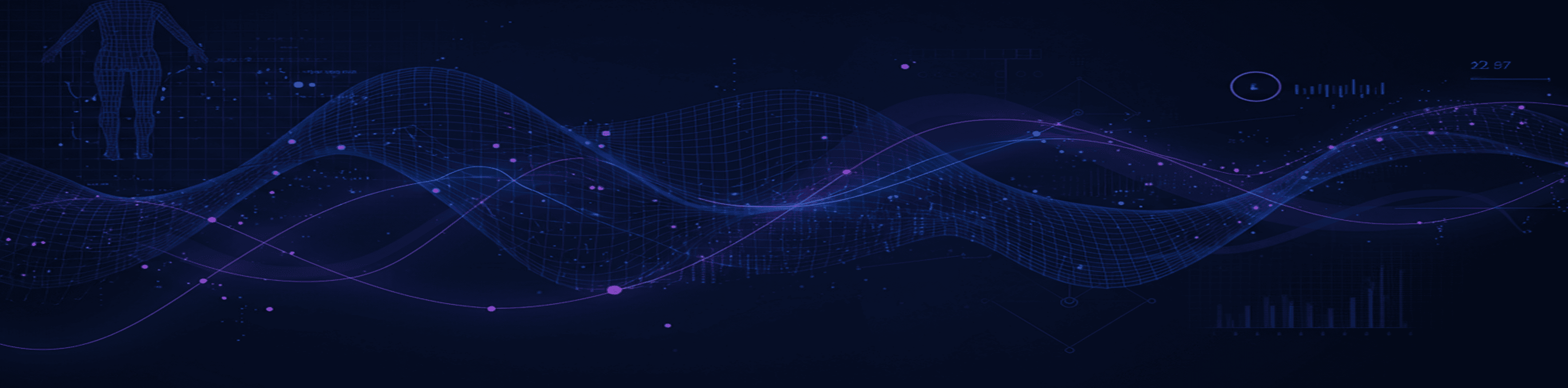 Catalogue Banner